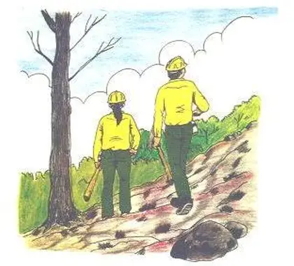 bombero forestal
