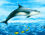 El atún y el delfín