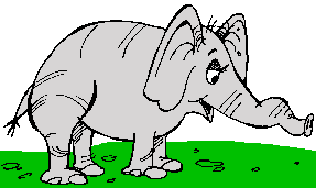 elefante 2