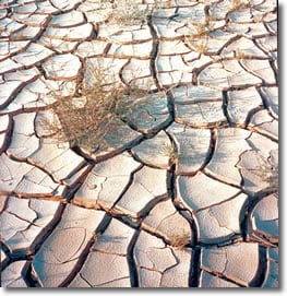 17 de junio - Día Mundial contra la Desertificación y Sequía