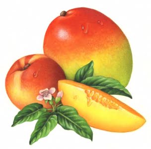 El mango. Poemas para niños sobre el beneficio de comer frutas y verduras