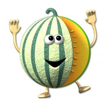 melon animado