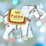 El elefante encadenado - Cuento de superación personal de Jorge Bucay