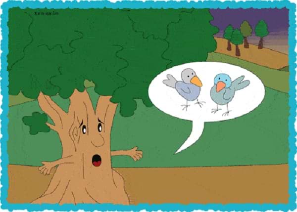 Itzelina habla con el árbol