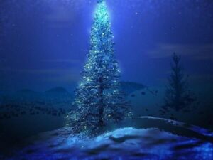 3 Bellas historias en las que Dios nos regala «El milagro de la Navidad»