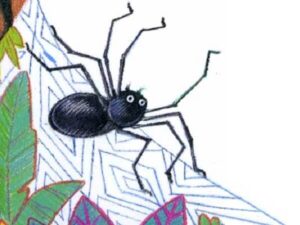 La señora araña Aranis - Cuento infantil de arañas