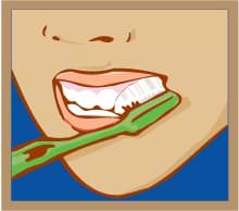 Cepille las encías, caras externas superiores e inferiores de los dientes