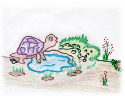 la tortuga fabula reunion en el bosque