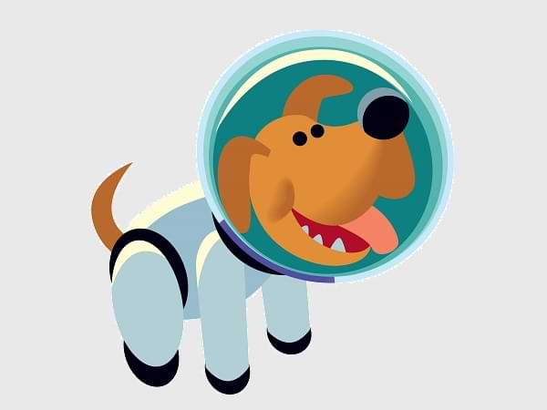 Roku perro en el espacio