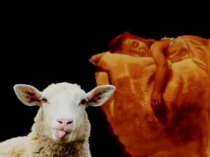 Aura no puede dormir 🐑 Una oveja… Dos ovejas… Tres ovejas… ¡Eh, tú! ¿Dónde crees que vas?
