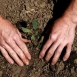 Cuento sobre la conducta humana - El sembrador