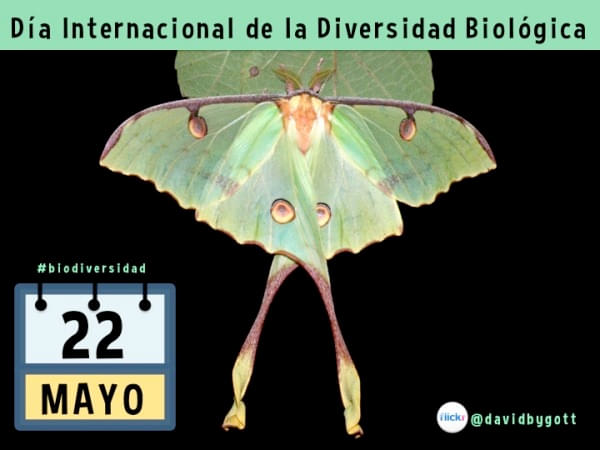 Día de la Diversidad Biológica