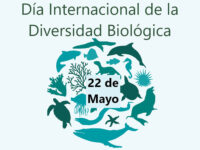 Día Internacional de la Diversidad Biológica 2023: «Del acuerdo a la acción: reconstruir la biodiversidad».