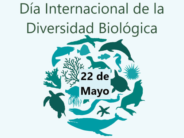 Día Internacional de la Diversidad Biológica - 22 de mayo