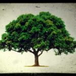 Día mundial del árbol - 28 de junio