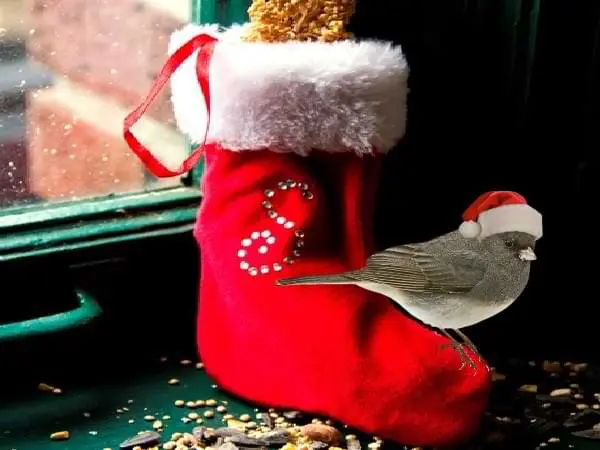 El calcetín mágico de Navidad - Cuento