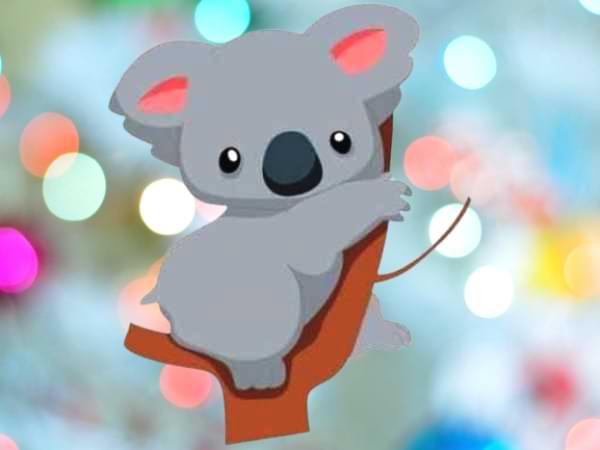 El koala - Poema