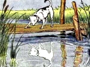 El perro y el reflejo del rio - Fábula de Esopo