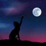 Fábulas del callejón iluminado - Cuento del gato y la luna