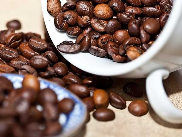 Granos de café - Cuento sobre el café