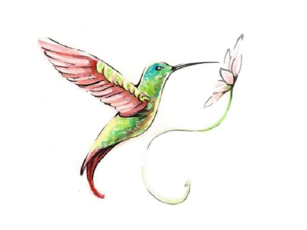 La flor y el colibrí - cuento con valores