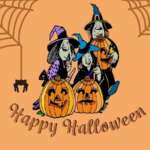 Las tres brujas buenas - Cuento de Halloween para niños y niñas