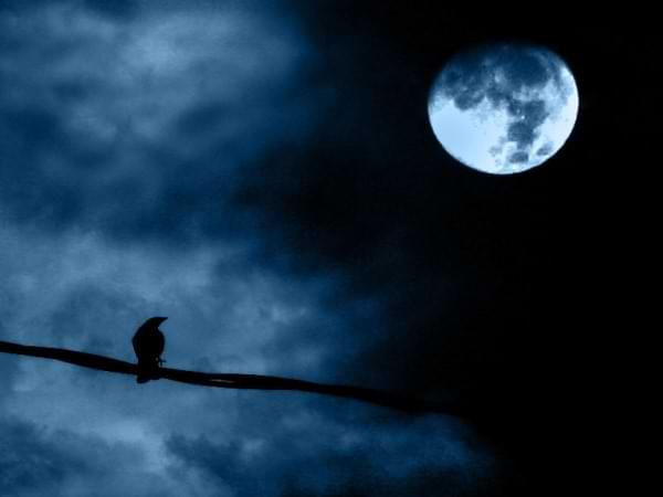 No hay nada que temer en la noche - Poema para perder el miedo a la noche