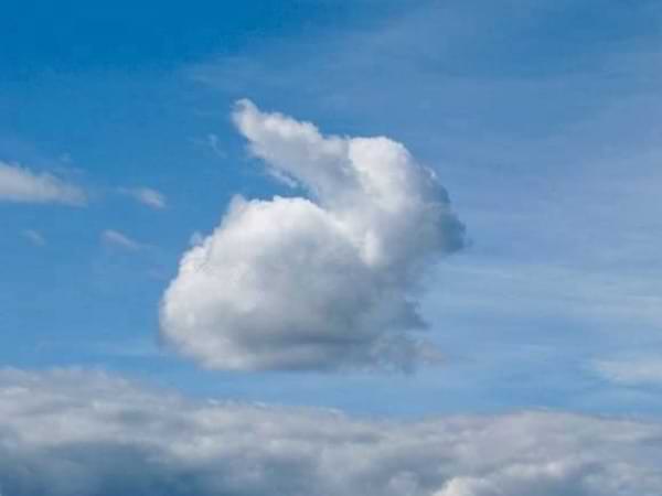 Nubes con forma de conejo