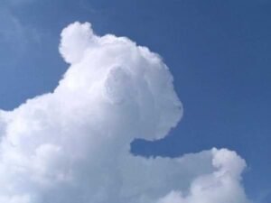 Nubes con formas de león
