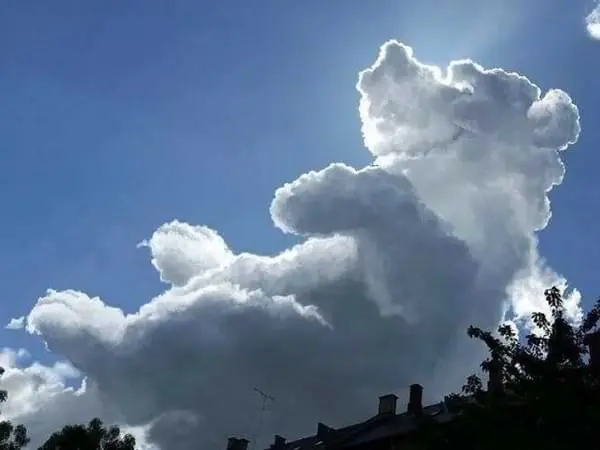 Nubes con forma de oso
