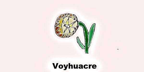 Voyhuacre - Animal con forma de flor